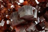 Top Quality, Deep Red Vanadinite Crystal Cluster - Large Crystals #368153-1